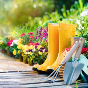 Gardening